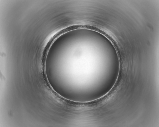 X0000090950927200708091325