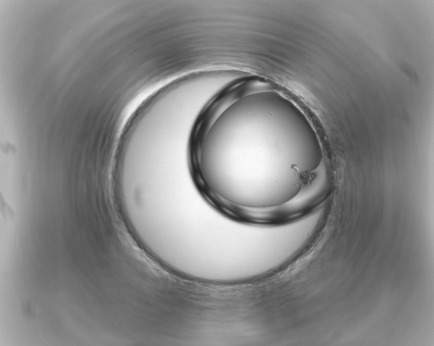 X0000090950928200708091325