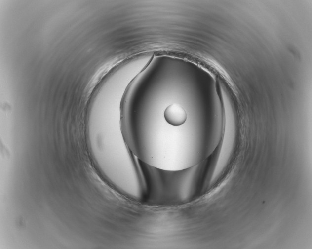 X0000090950930200708091325