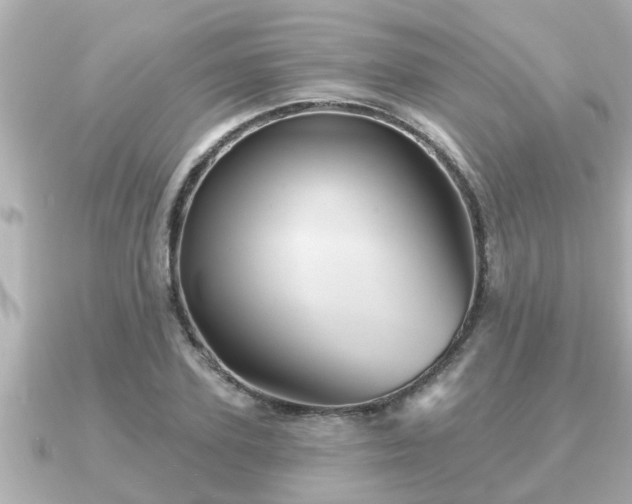 X0000090950931200708091325