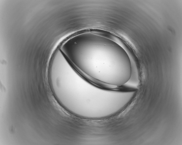 X0000090950932200708091325