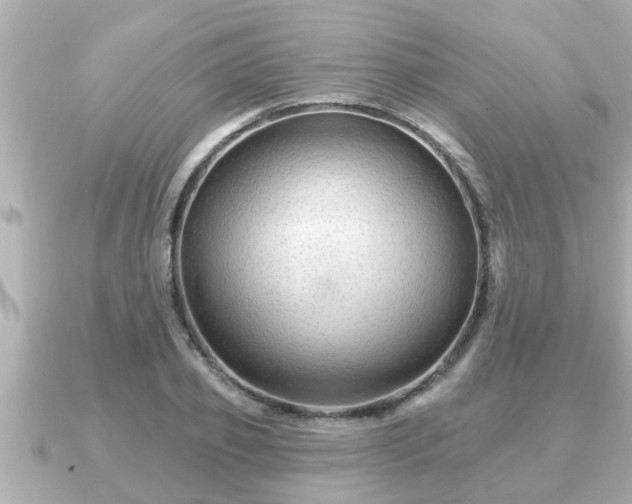 X0000090950933200708091326