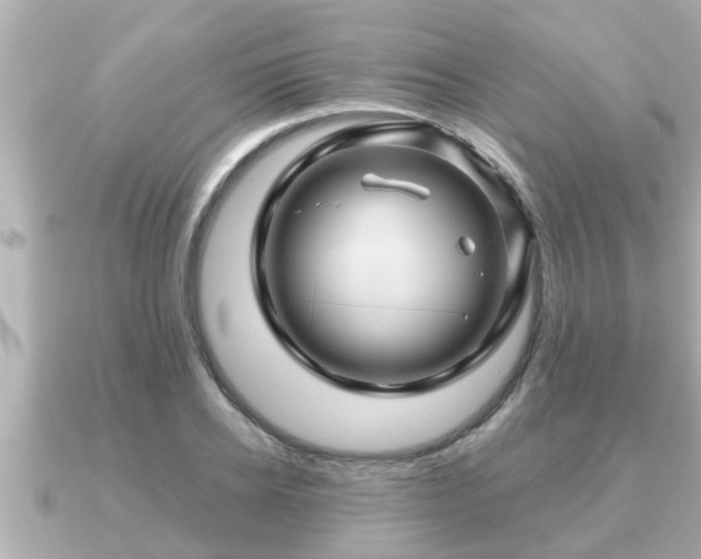 X0000090950934200708091326