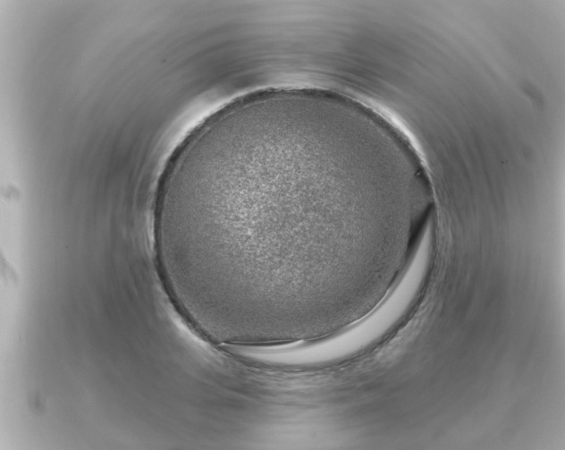 X0000090950935200708091326
