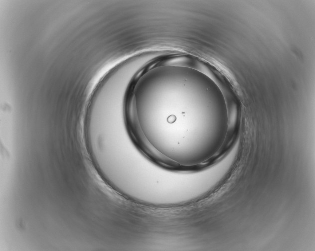 X0000090950936200708091326