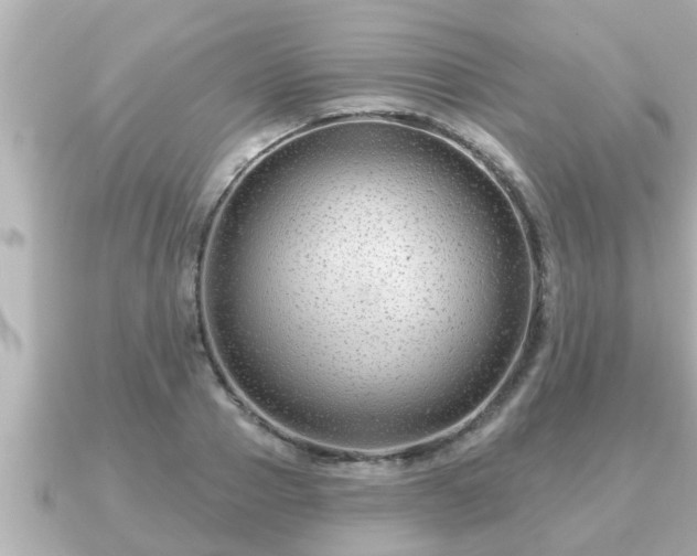 X0000090950937200708091326