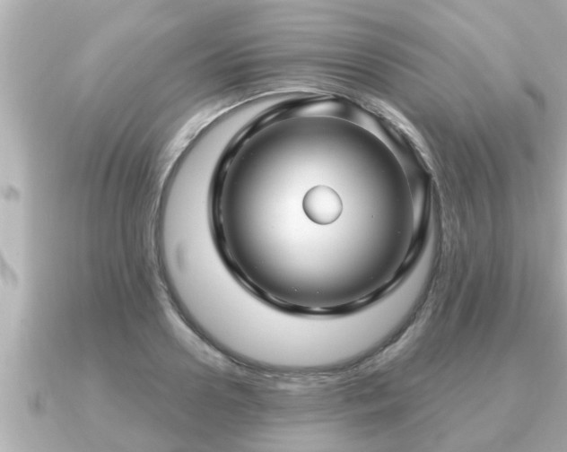 X0000090950938200708091326