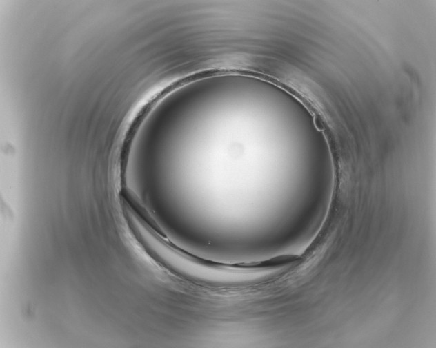 X0000090950939200708091326