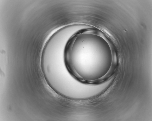 X0000090950940200708091326
