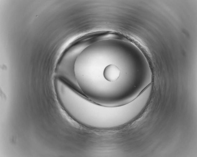 X0000090950942200708091326