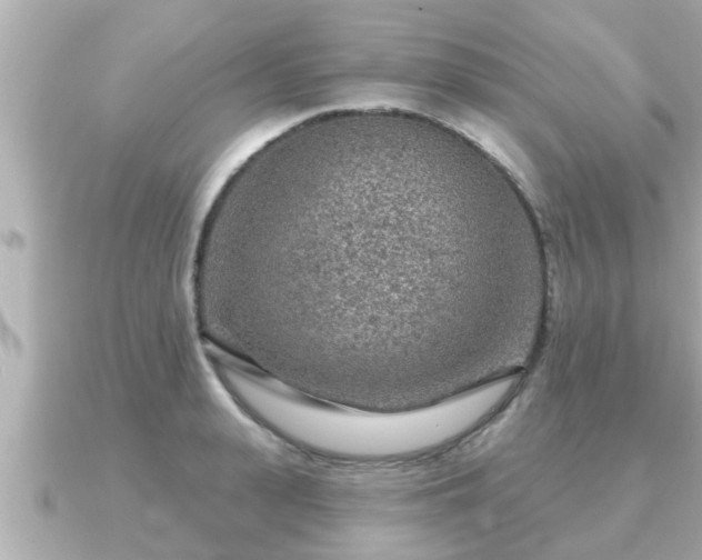 X0000090950943200708091326