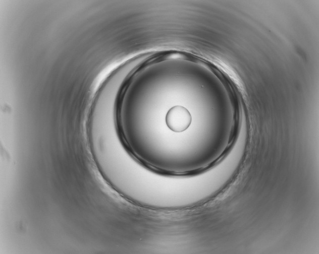 X0000090950944200708091326