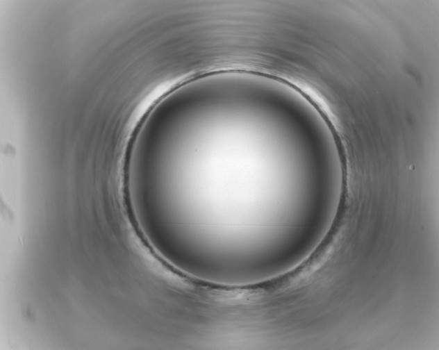 X0000090950949200708091326