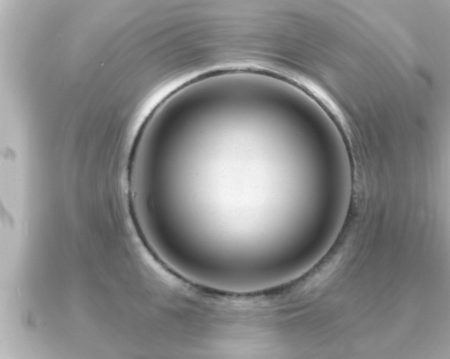 X0000090950951200708091326