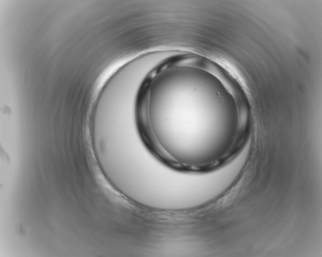 X0000090950952200708091326