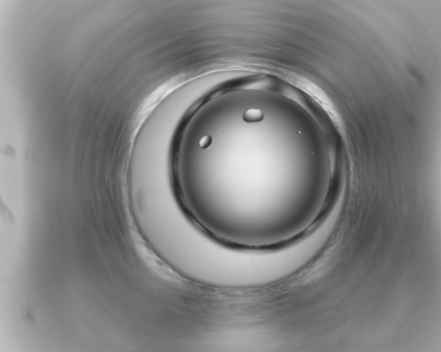 X0000090950954200708091326
