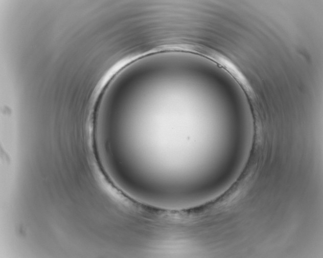 X0000090950955200708091326