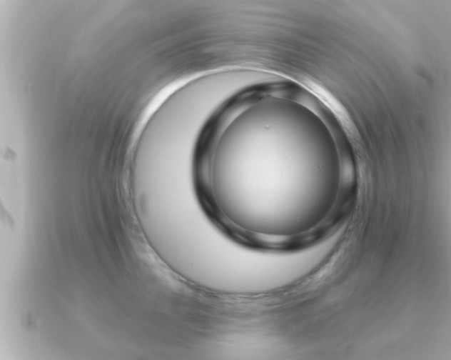 X0000090950956200708091326