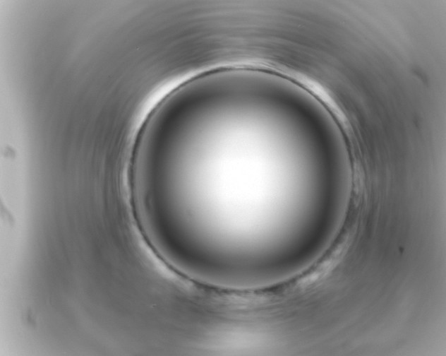 X0000090950959200708091326