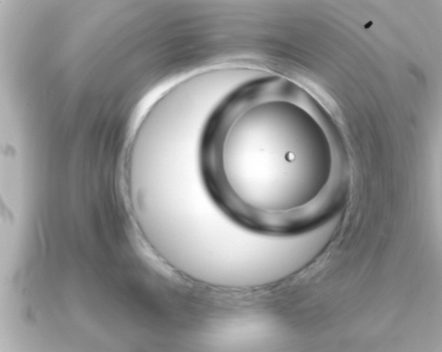 X0000090950960200708091326
