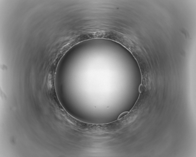 X0000090950962200708091325