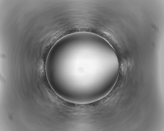 X0000090950963200708091325
