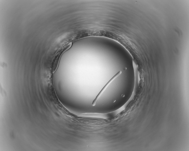 X0000090950964200708091325