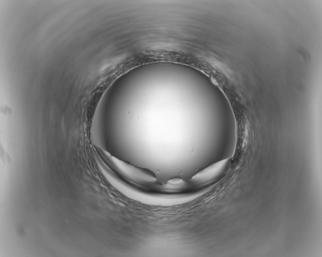 X0000090950965200708091325