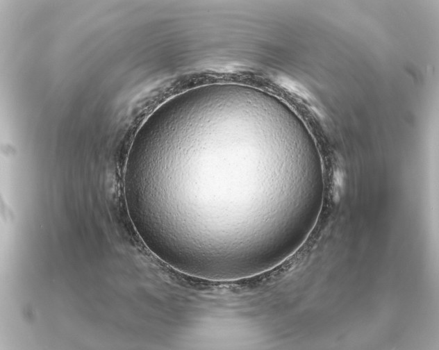 X0000090950966200708091325