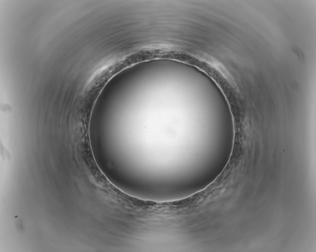 X0000090950967200708091325