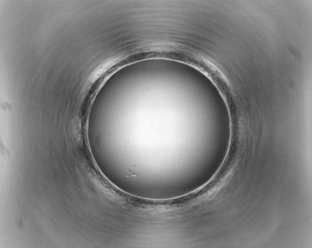 X0000090950970200708091325