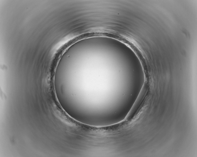 X0000090950971200708091325