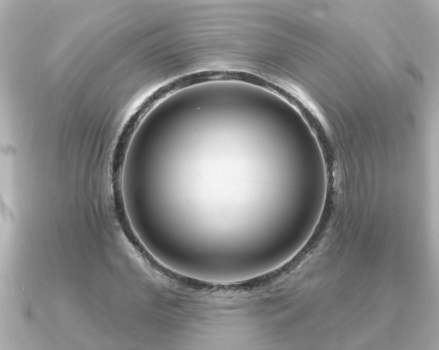 X0000090950972200708091325