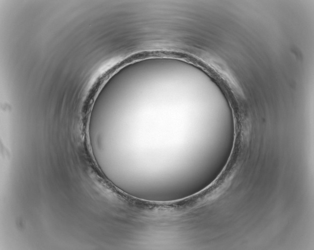 X0000090950974200708091325