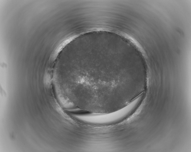 X0000090950977200708091325