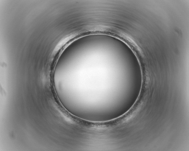 X0000090950978200708091325