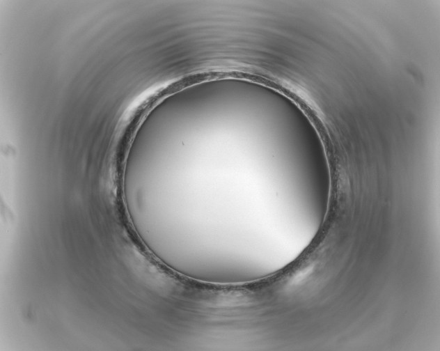 X0000090950979200708091325