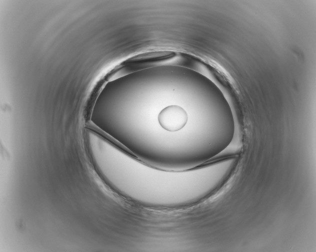 X0000090950981200708091325
