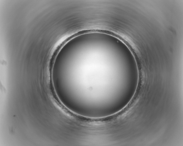 X0000090950982200708091325