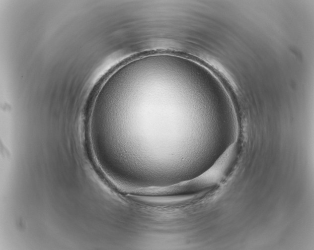 X0000090950983200708091325