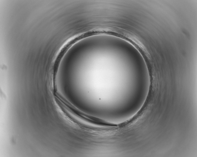 X0000090950984200708091325