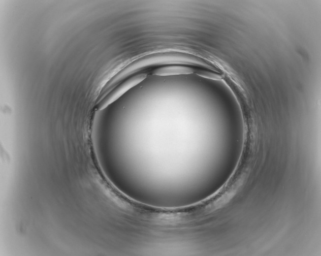 X0000090950985200708091325