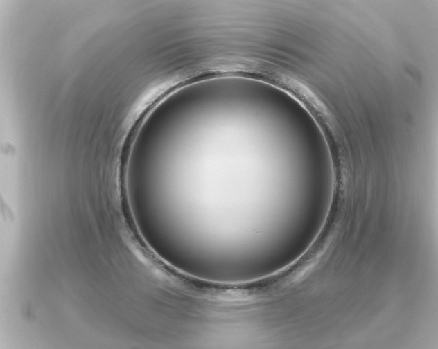 X0000090950986200708091325