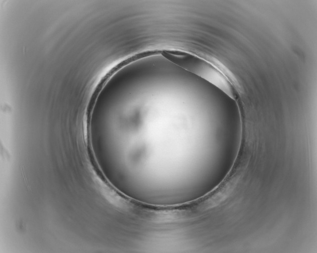 X0000090950988200708091325