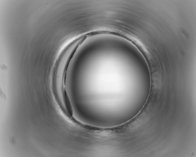 X0000090950991200708091325