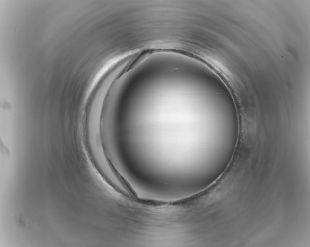 X0000090950992200708091325