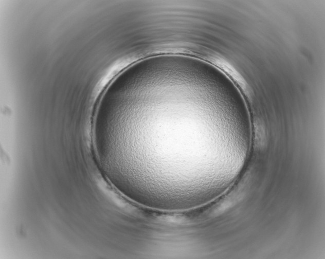 X0000090950994200708091325