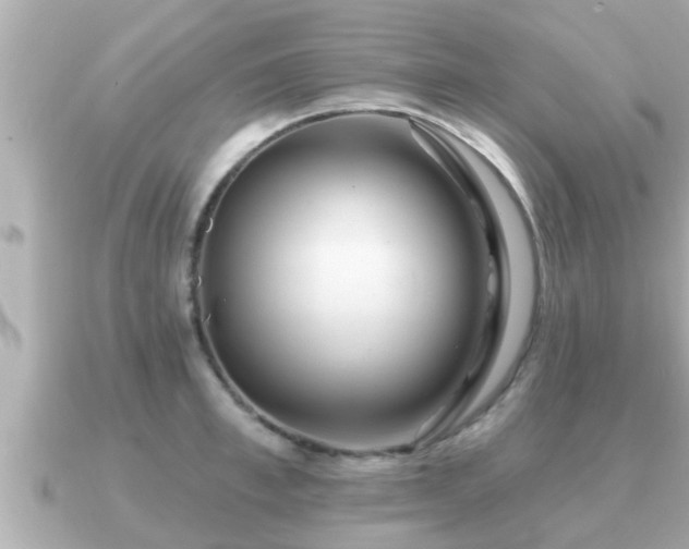 X0000090950997200708091325