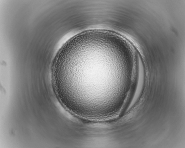 X0000090950998200708091325