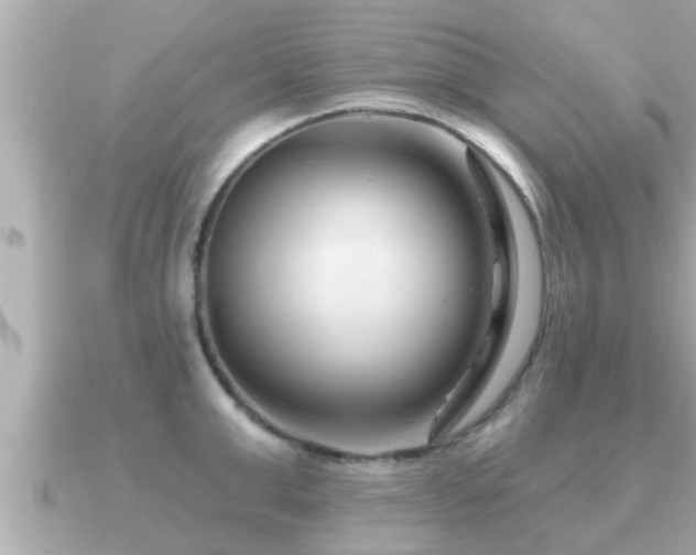 X0000090950999200708091325